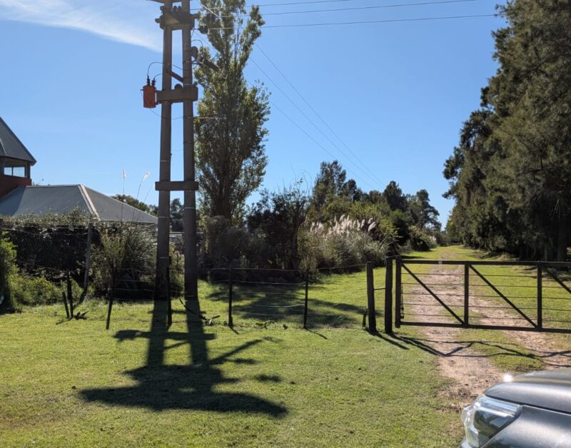 Días de campo y bosque